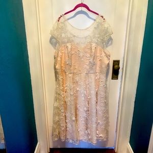 Chi Chi London light pink party dress with fluttery flowers